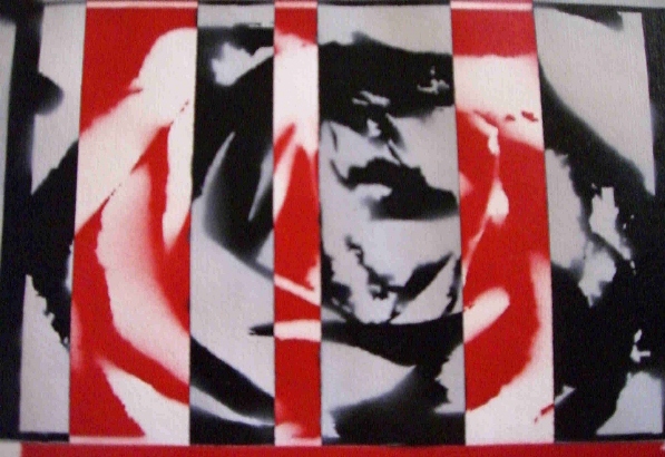 Rose schwarz/wei�/rot - gespr�ht auf Zeichenkarton - 07.06.2007