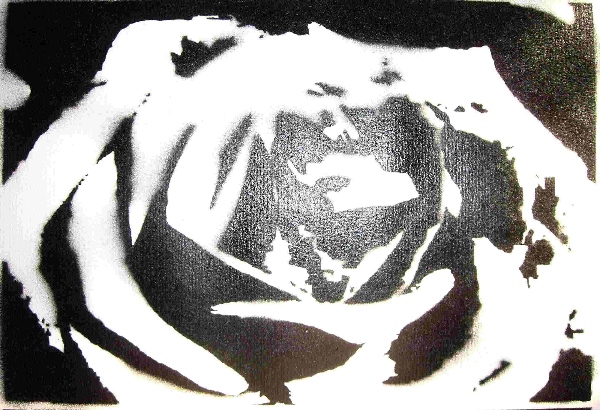 Rose schwarz/wei� - gespr�ht auf Zeichenkarton - 07.07.2007